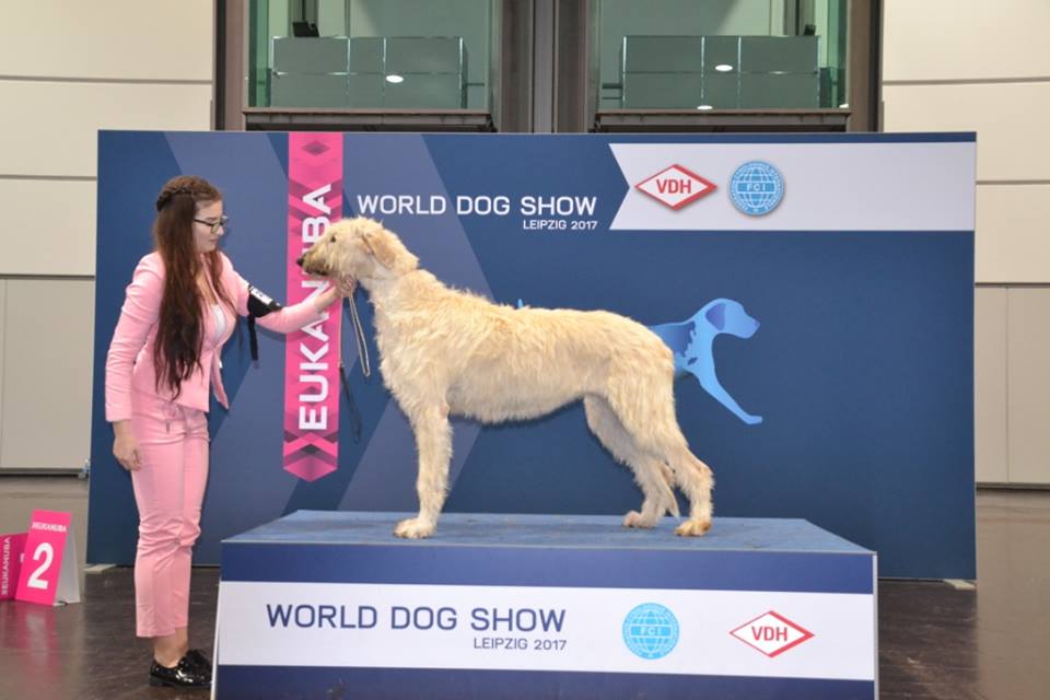 BELLA JOHNSTON AR´DAROTH