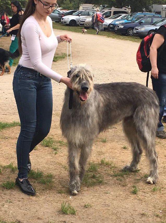 Fotografie z galerie