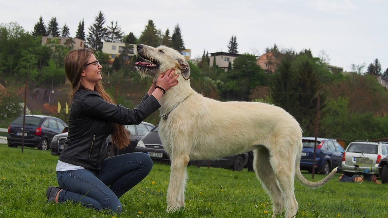 Fotografie z galerie