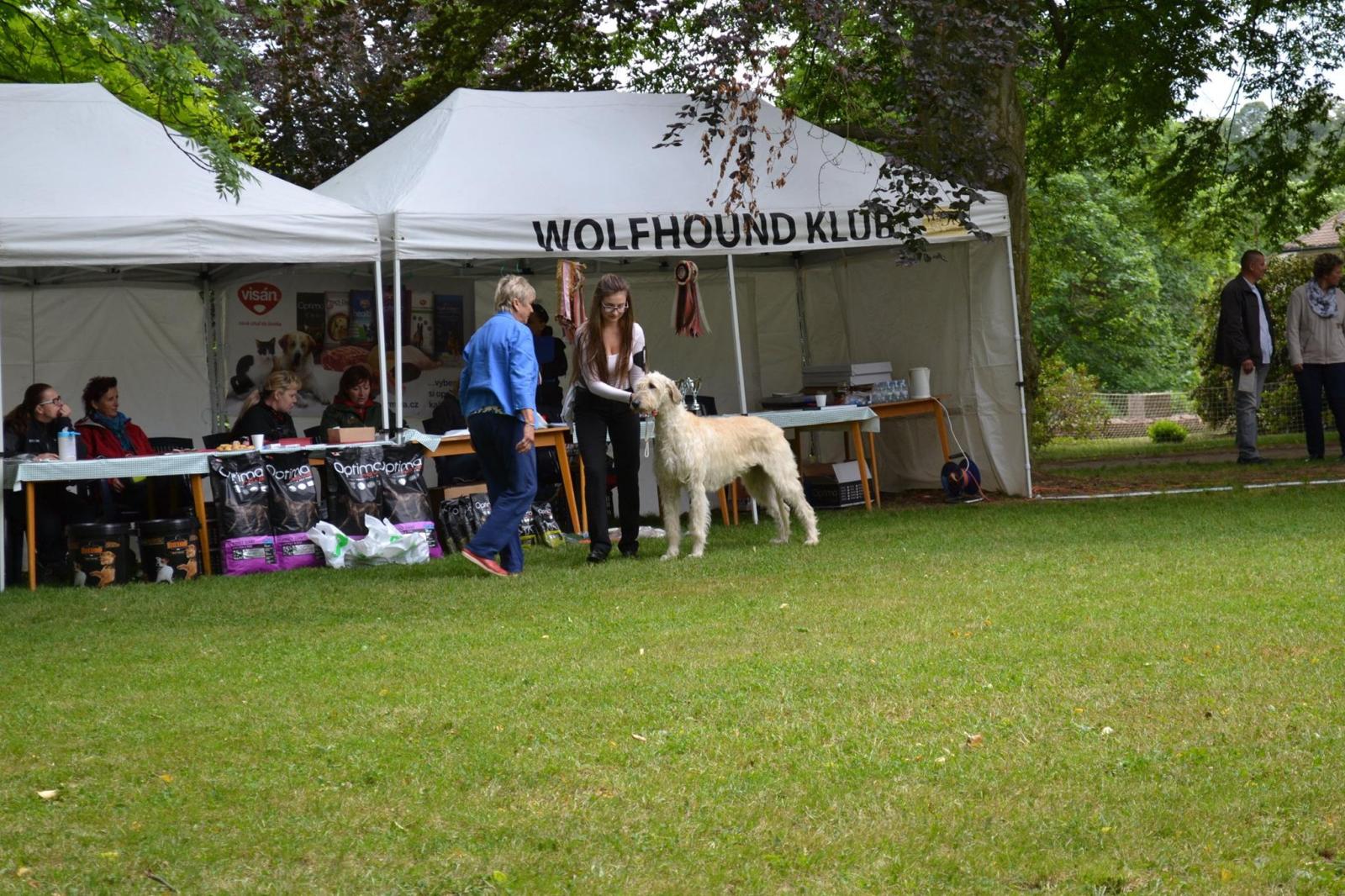 Fotografie z galerie