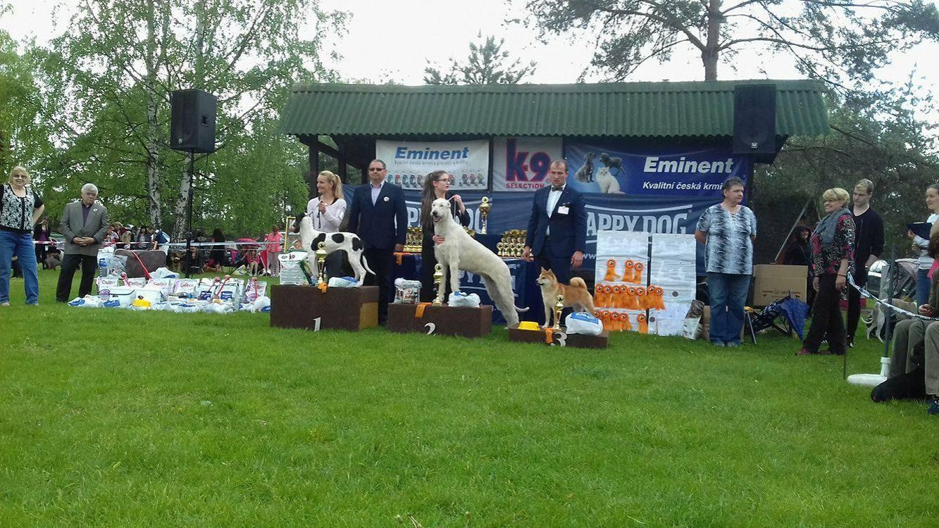 Fotografie z galerie