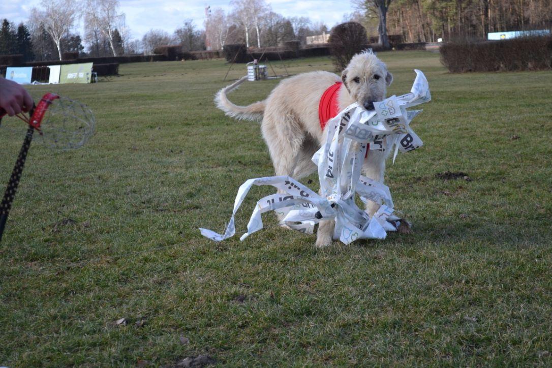 Fotografie z galerie