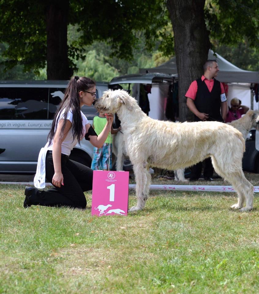Fotografie z galerie