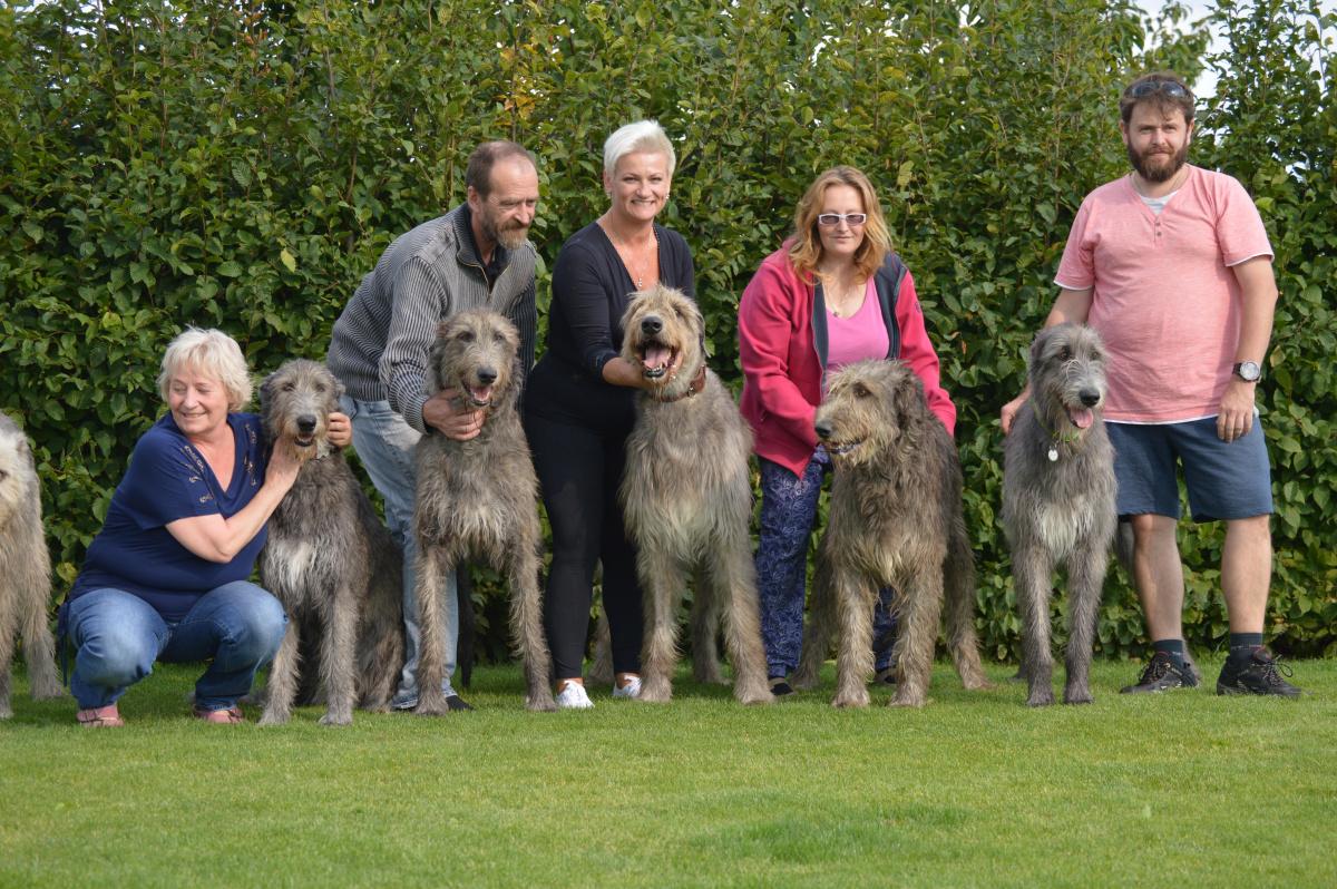 Fotografie z galerie