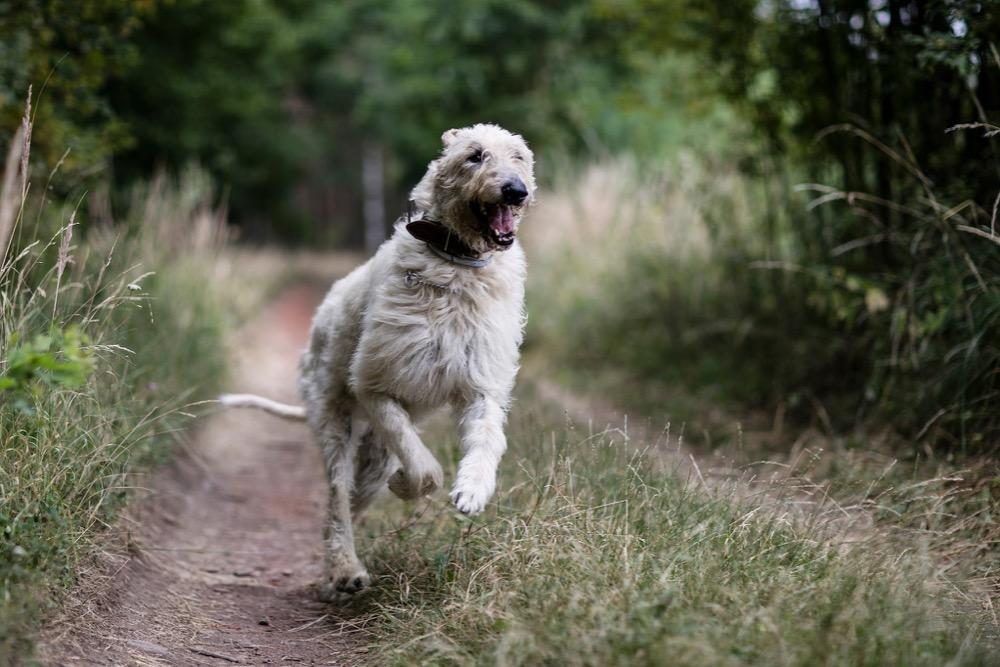 Fotografie z galerie