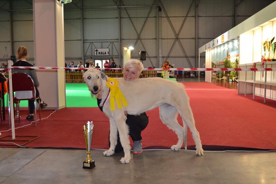 DARK KRÁLOVSTVÍ VLKODAVŮ AR´DAROTH