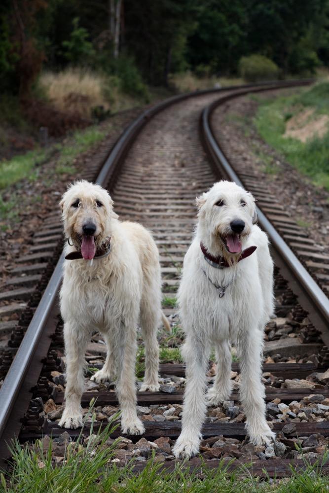 Fotografie z galerie