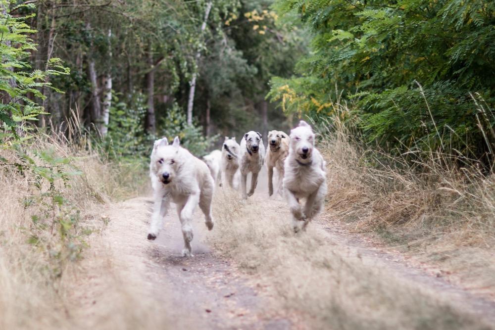 Fotografie z galerie