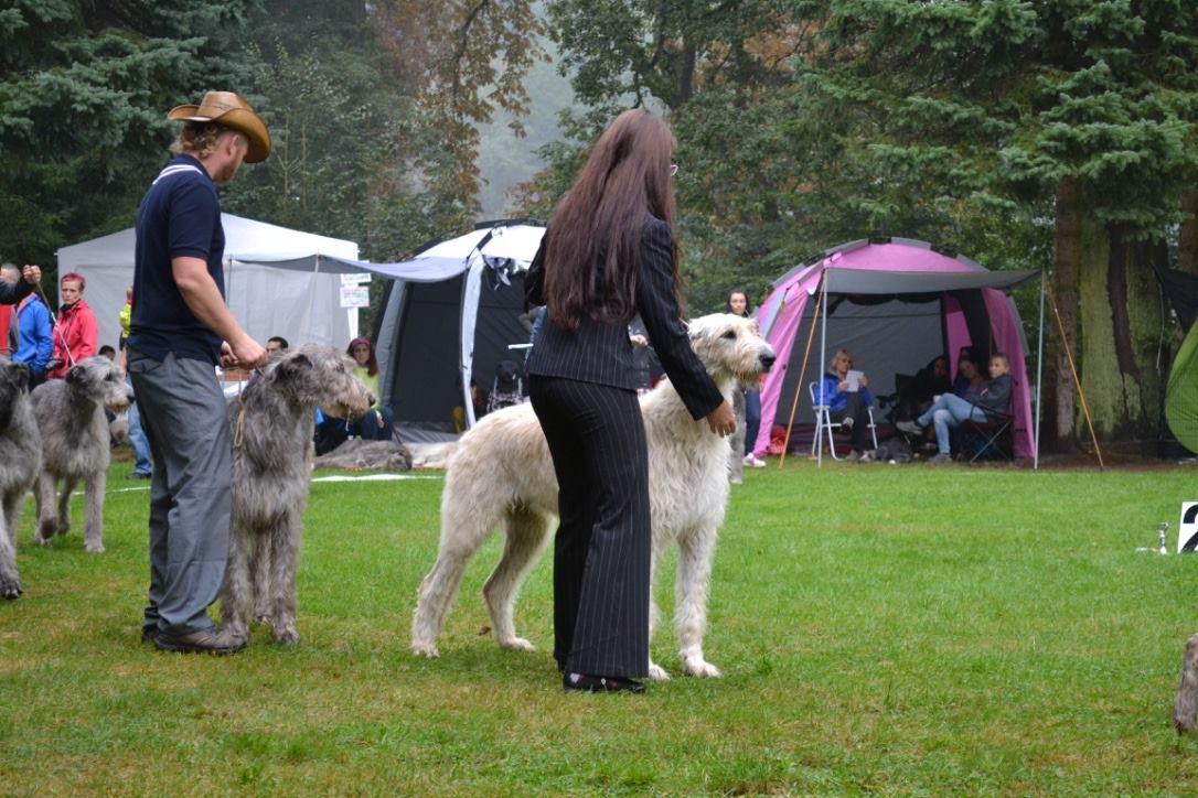 Fotografie z galerie