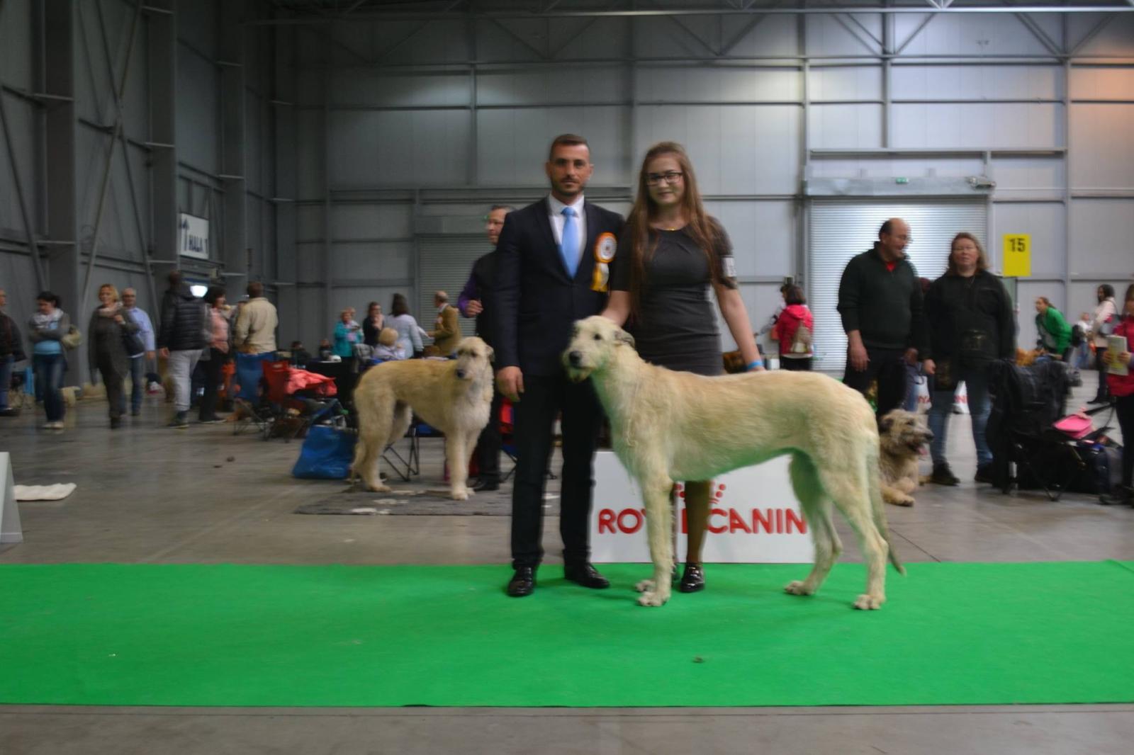 Fotografie z galerie