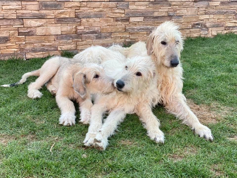 Máme nový přírůstek