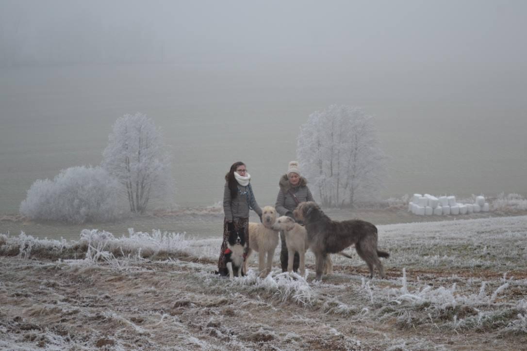 Fotografie z galerie